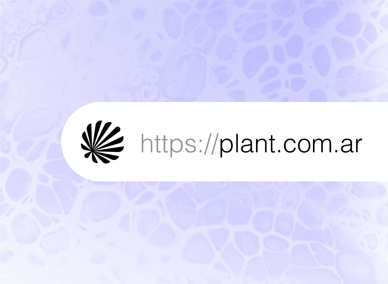 Plant-07