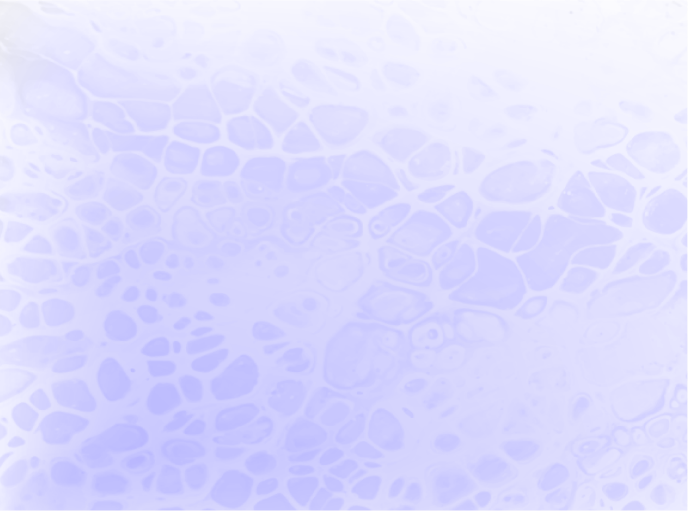 Plant-19 (2)