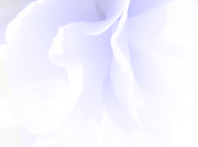 Plant-19 (3)