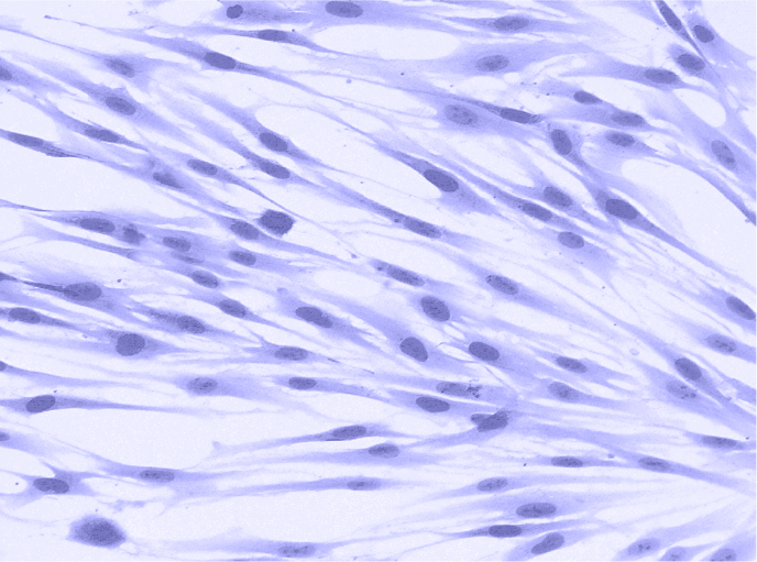 Plant-19 (5)