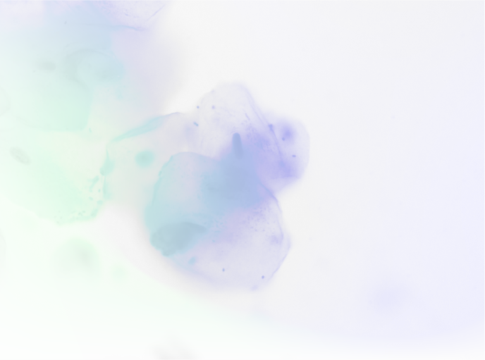 Plant-19 (8)