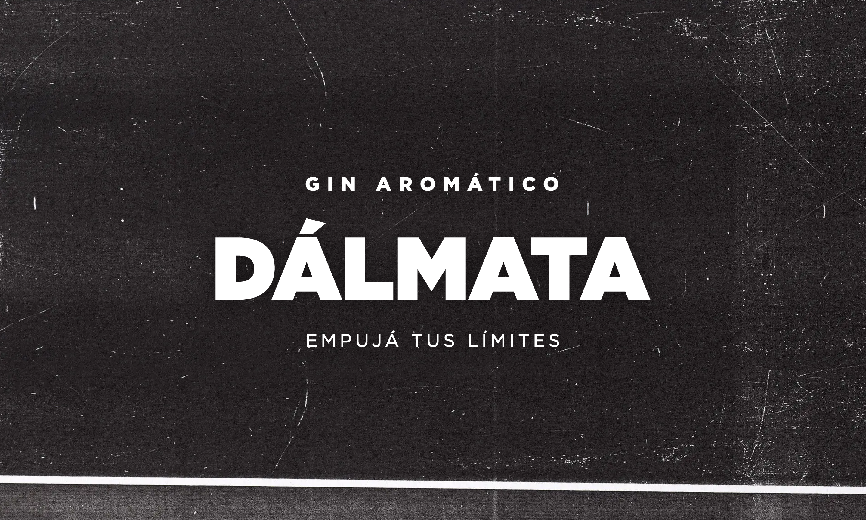 CDE_DÁLMATA10