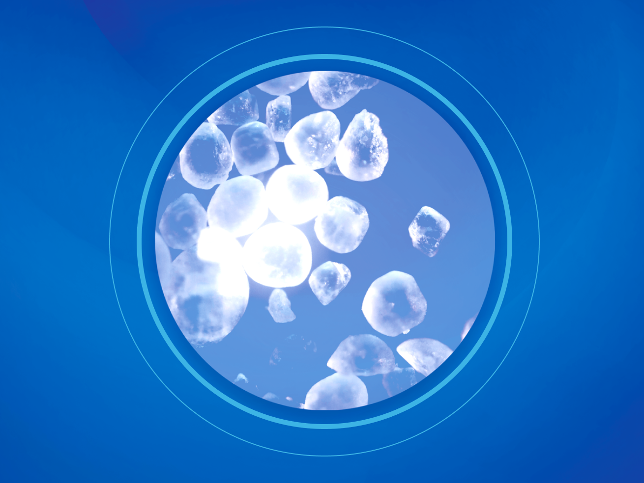 3. img Microscopio