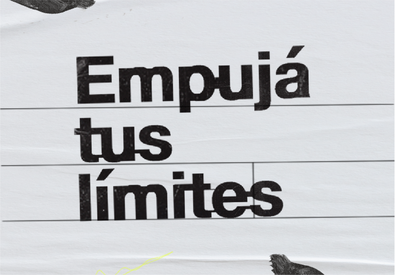 CDE_DÁLMATA4