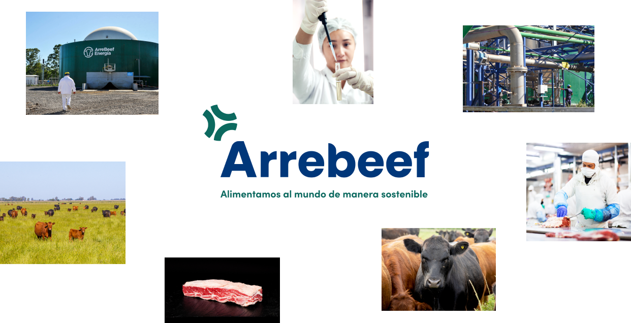 Arrebeef-thumbnail-07